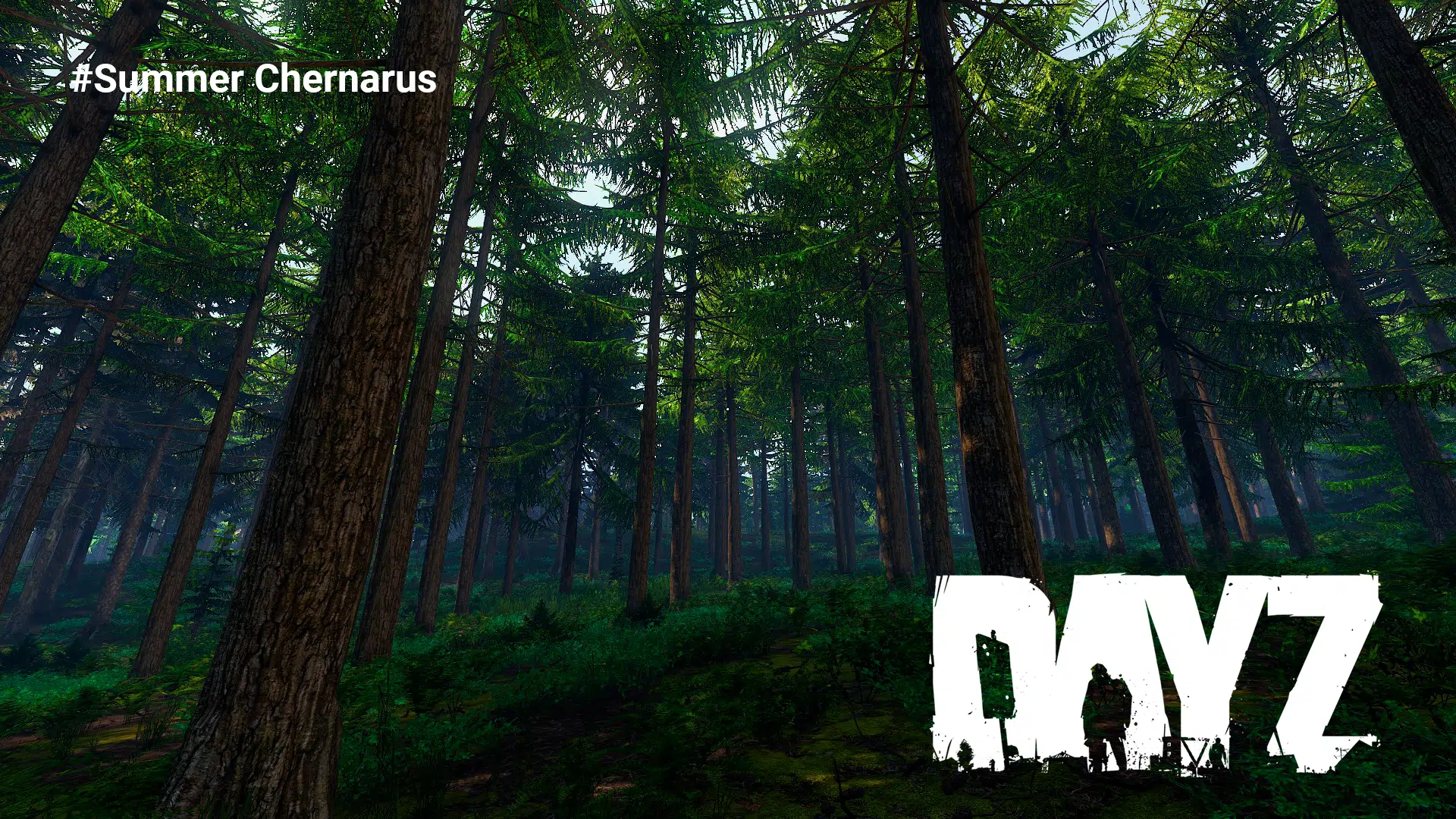 MyDayZ Summer Chernarus new update