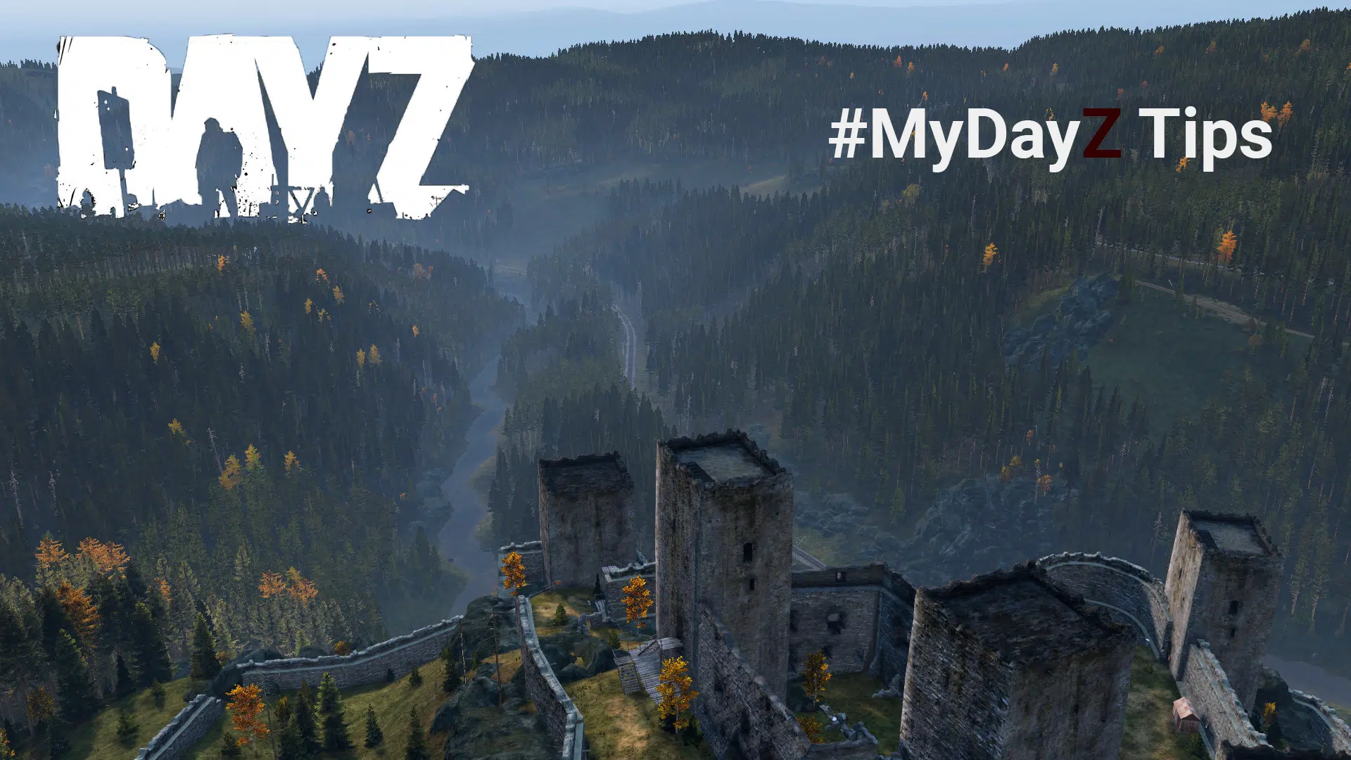 mydayz help tips 1