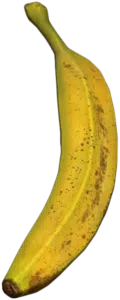 Fresh Banana