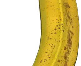 Fresh Banana