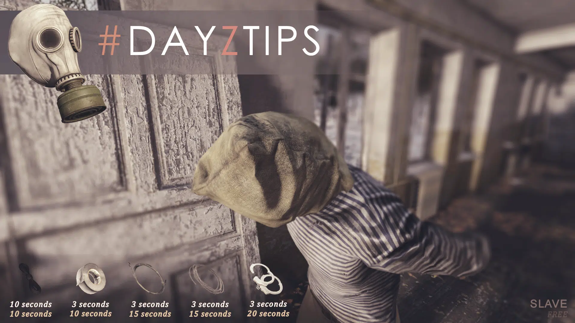 DayzTips 5