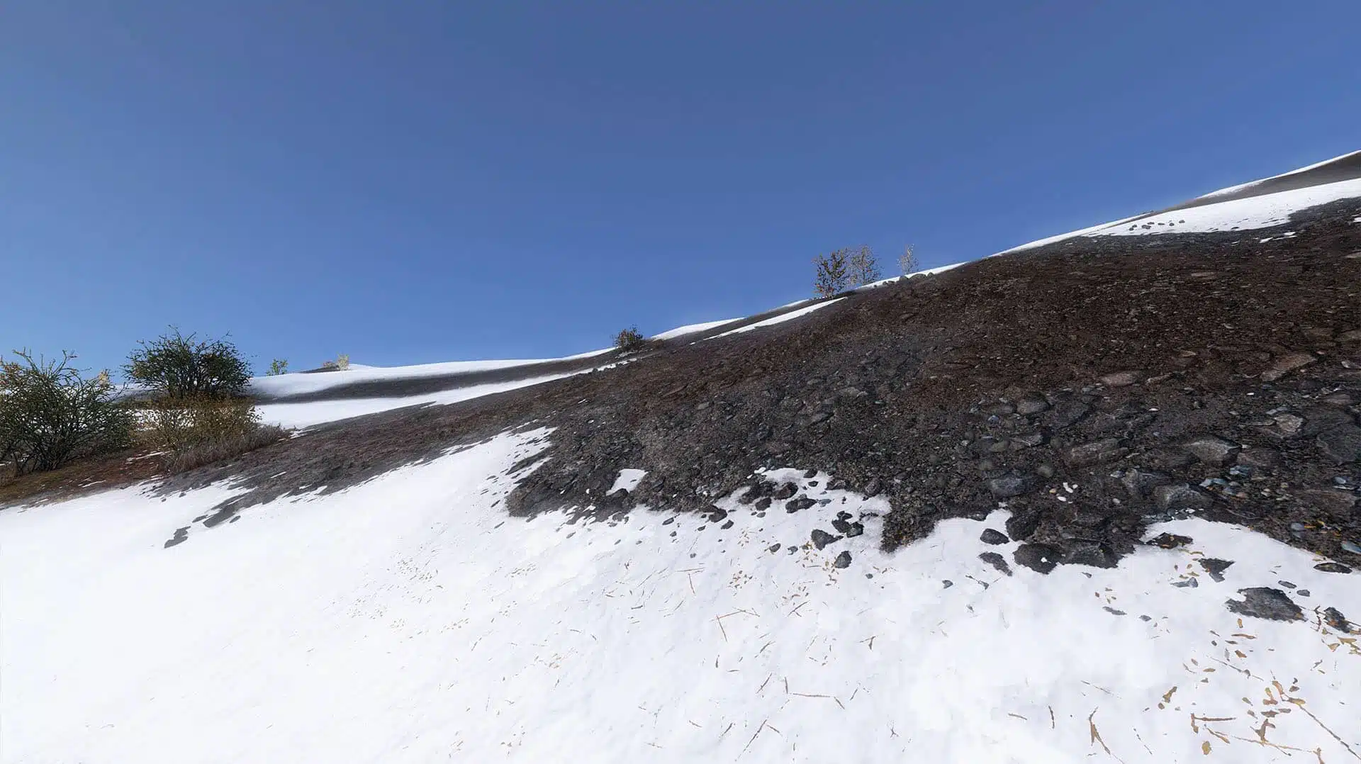 Dayz 1.29