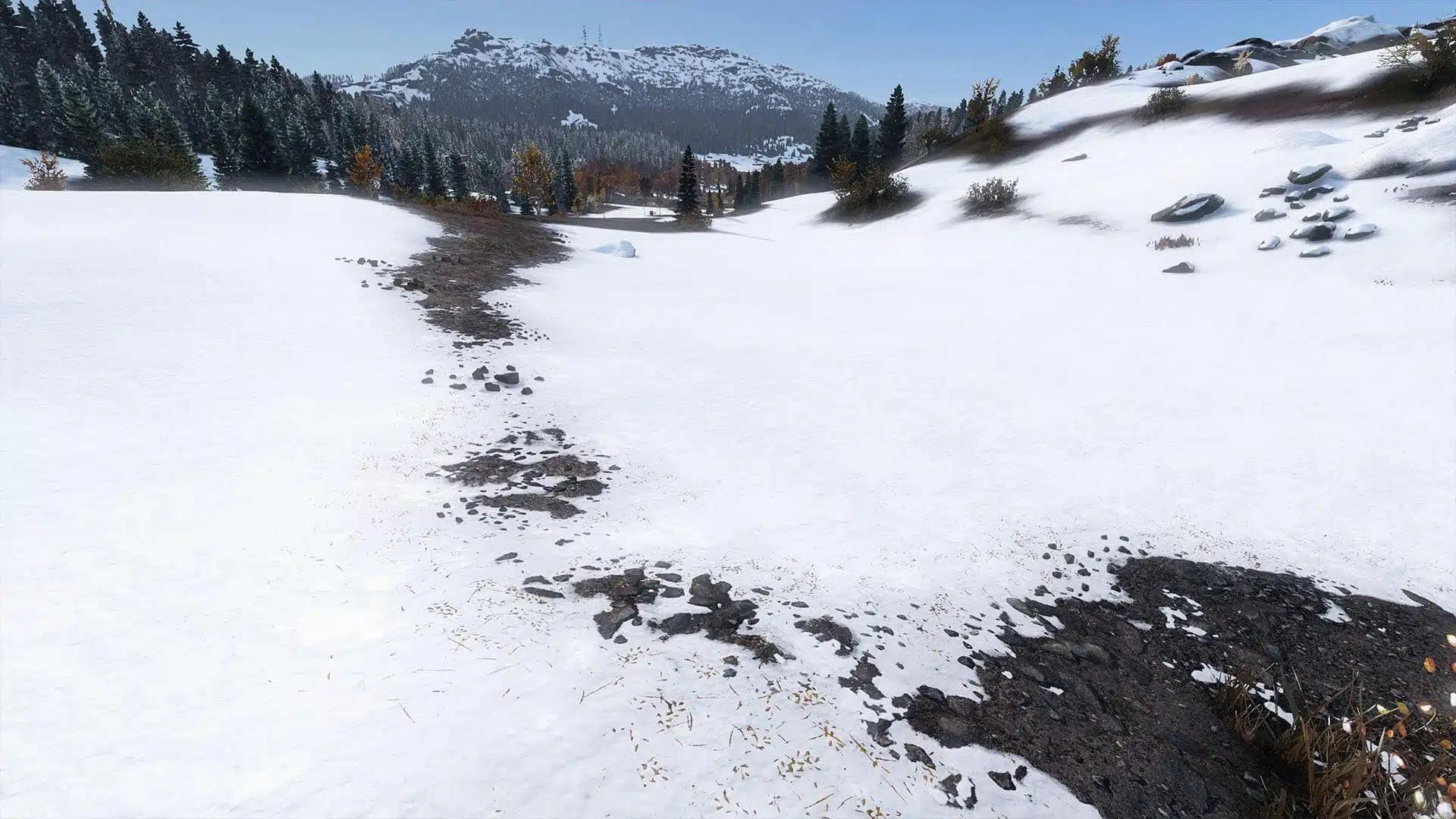 Dayz 1.29