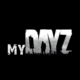 MyDayZ
